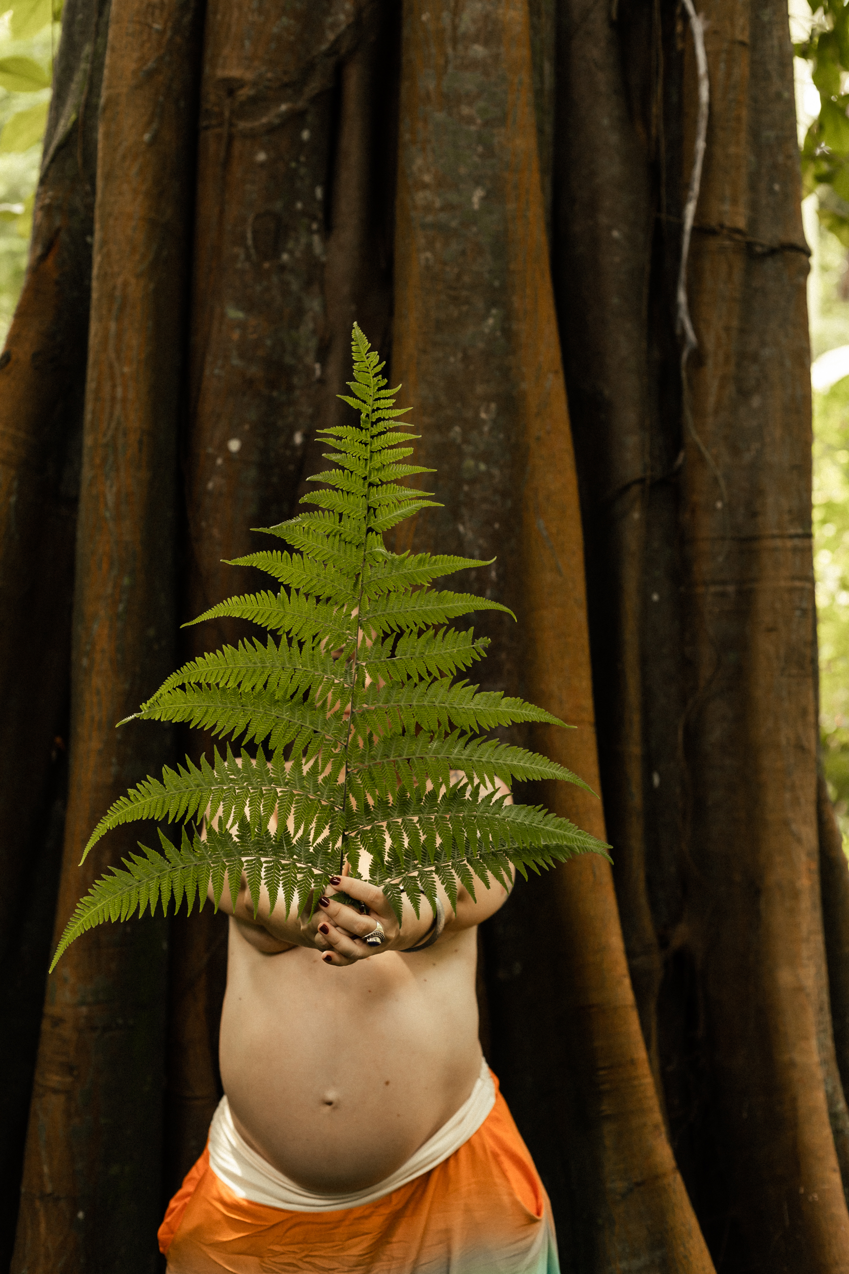 Gestante com samambaia - fotografia artística de gestação