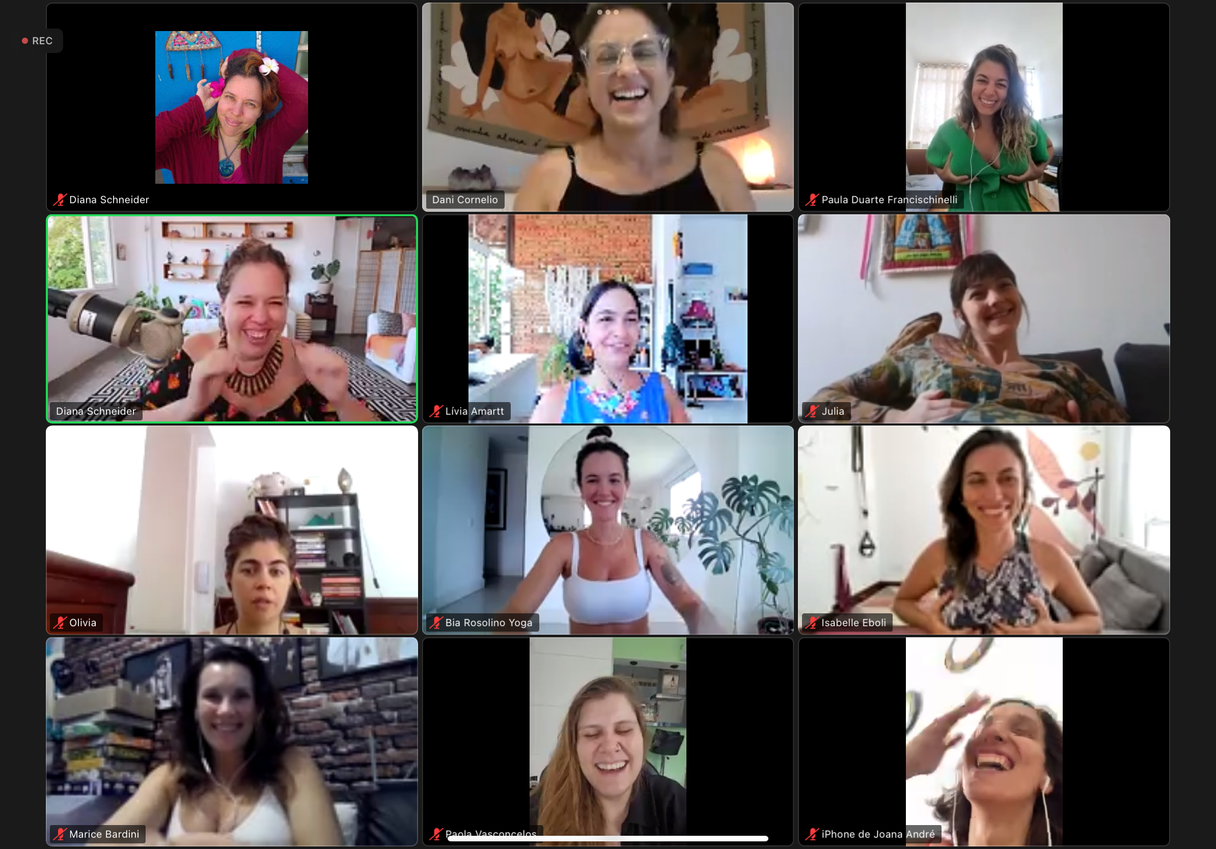 Encontro online da Roda das Sementeiras com grupo de gestantes